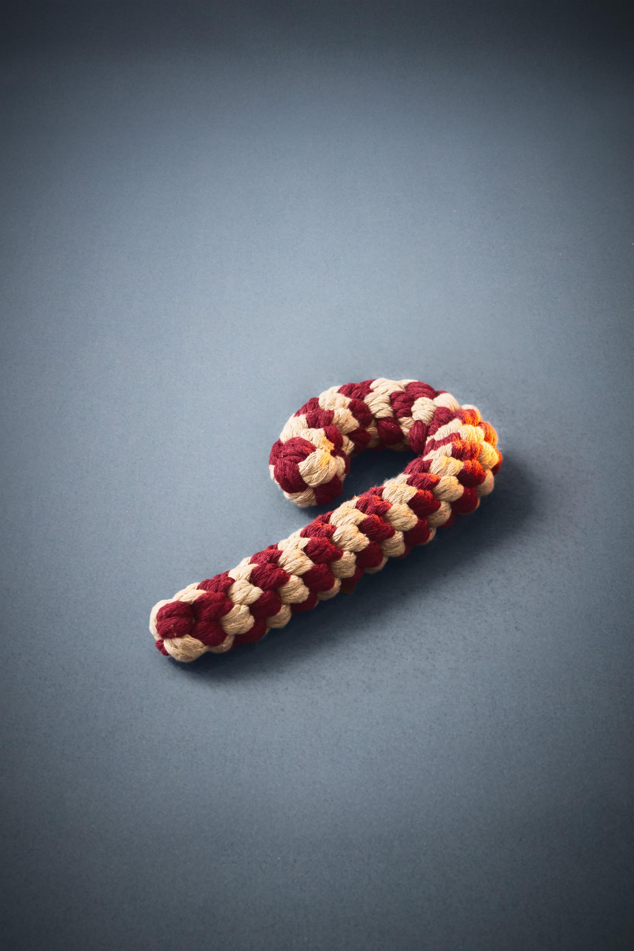 JOUET POUR ANIMAUX BONBON DE NOËL