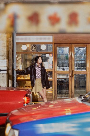 Zara 刺繡條紋 T 恤 - Brown Stripes