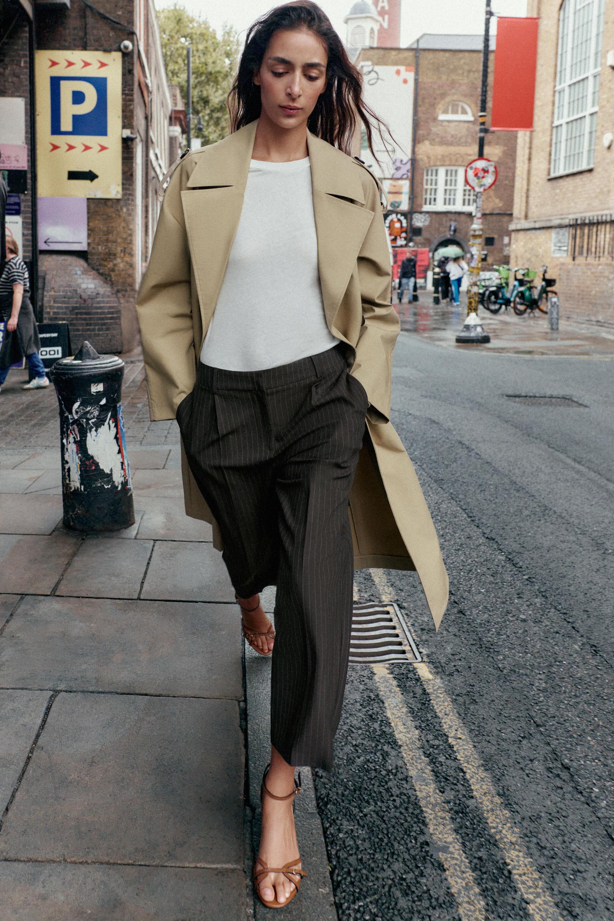 キャロットダーツパンツ - ストライプ | ZARA Japan / 日本