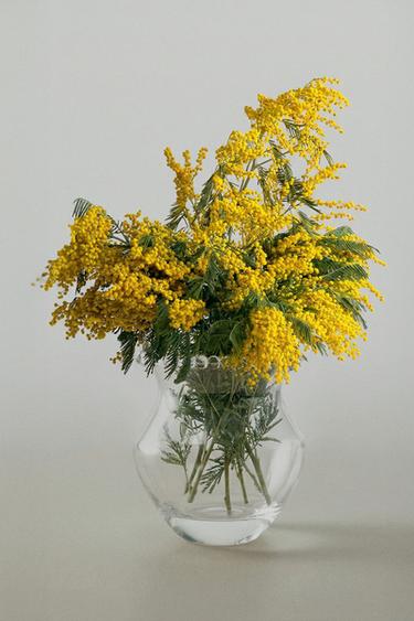 ΓΥΑΛΙΝΟ ΒΑΖΟ ΜΕ ΦΥΣΑΛΙΔΕΣ - διαφανές του Zara