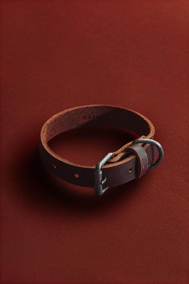LEATHER DOG COLLAR - Brown by Zara
