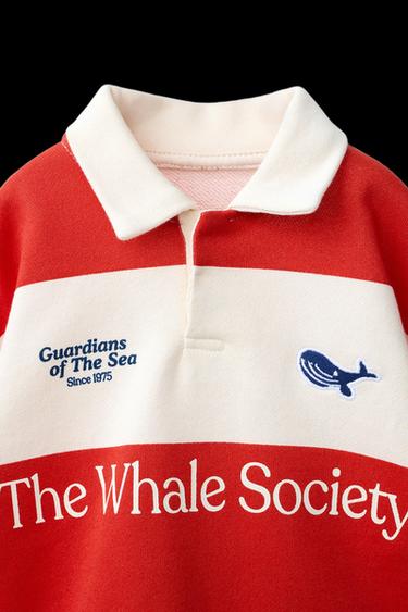 POLO RAYAS BALLENA BORDADA - Rojo de Zara