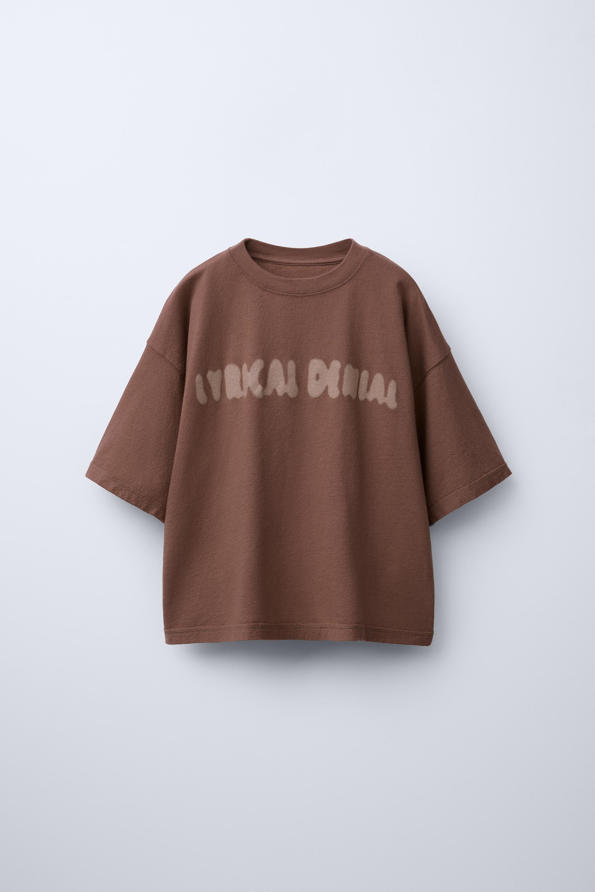 Tシャツ・カットソー Opening Project Small Logo Multi Stripe T Shirt Brown PRINTED T-SHIRT - Brown | ZARA Canada