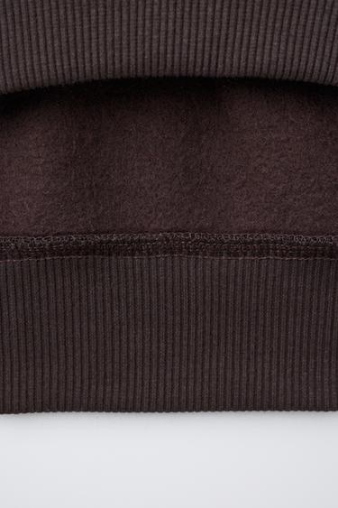 FLOCK CHERRY CAPYBARA CAPYFUN © SWEATSHIRT - Brown by Zara - Image 3