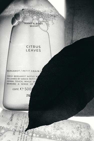 (500 ML) SABONETE LÍQUIDO CITRUS LEAVES - Verde-médio da Zara