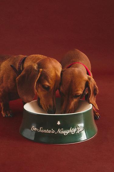 STONEWARE CHRISTMAS PET FOOD BOWL - Green by Zara - Image 5