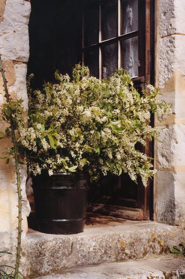 GARTENTOPF AUS KERAMIK - Schwarz von Zara