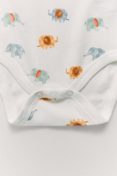 PACK CINCO BODIES ELEFANTES - Multicolor de Zara