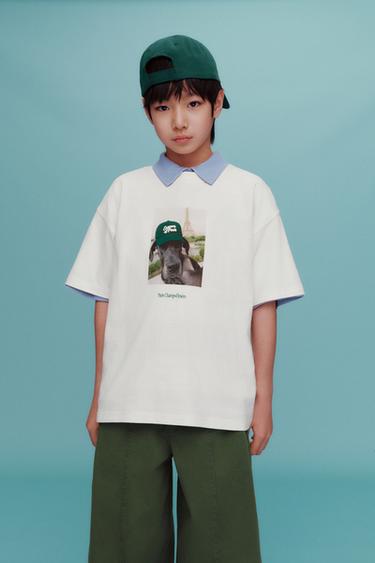 CAMISETA ESTAMPADO PERRO - Blanco de Zara