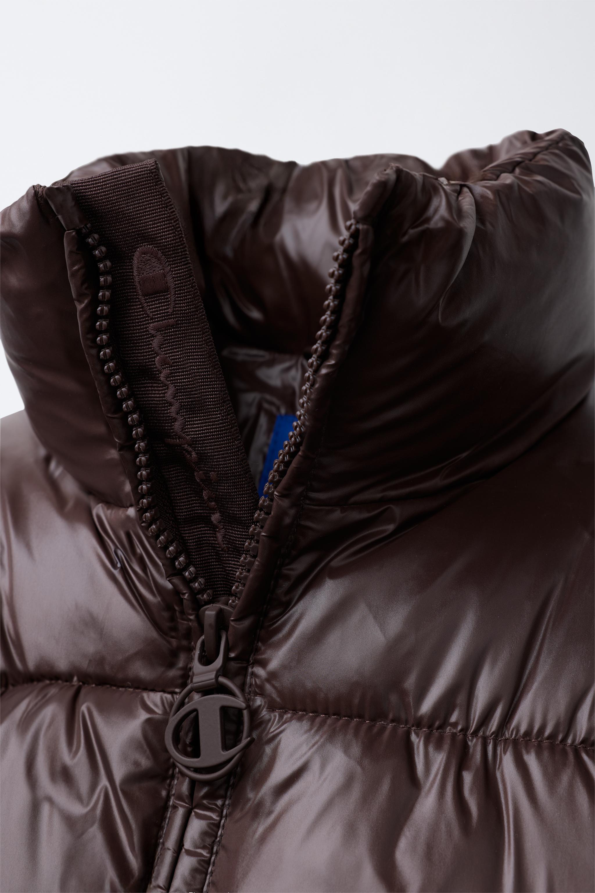 CHAMPION ® X ZARA 刺繍入りパフジャケット - ブラウン | ZARA Japan