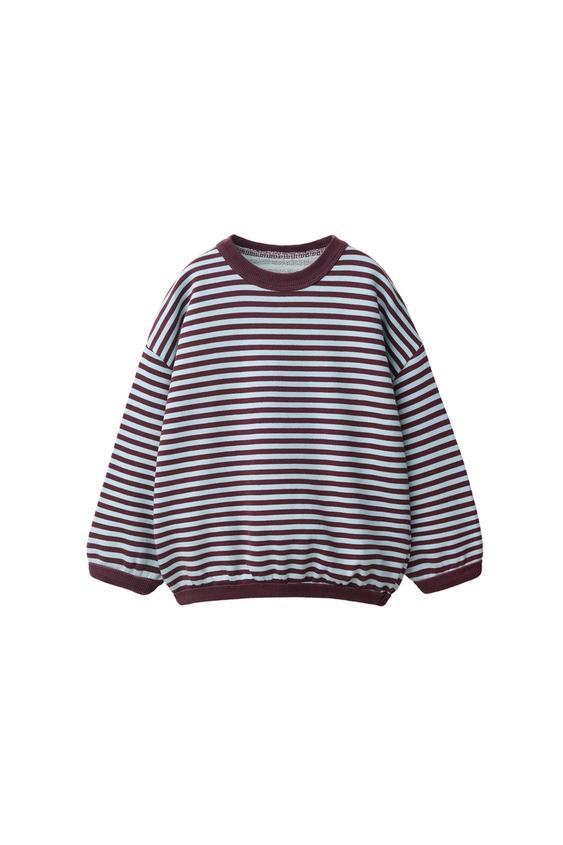 Zara STRIPED PRINT SWEATSHIRT - Light blue - Image 0