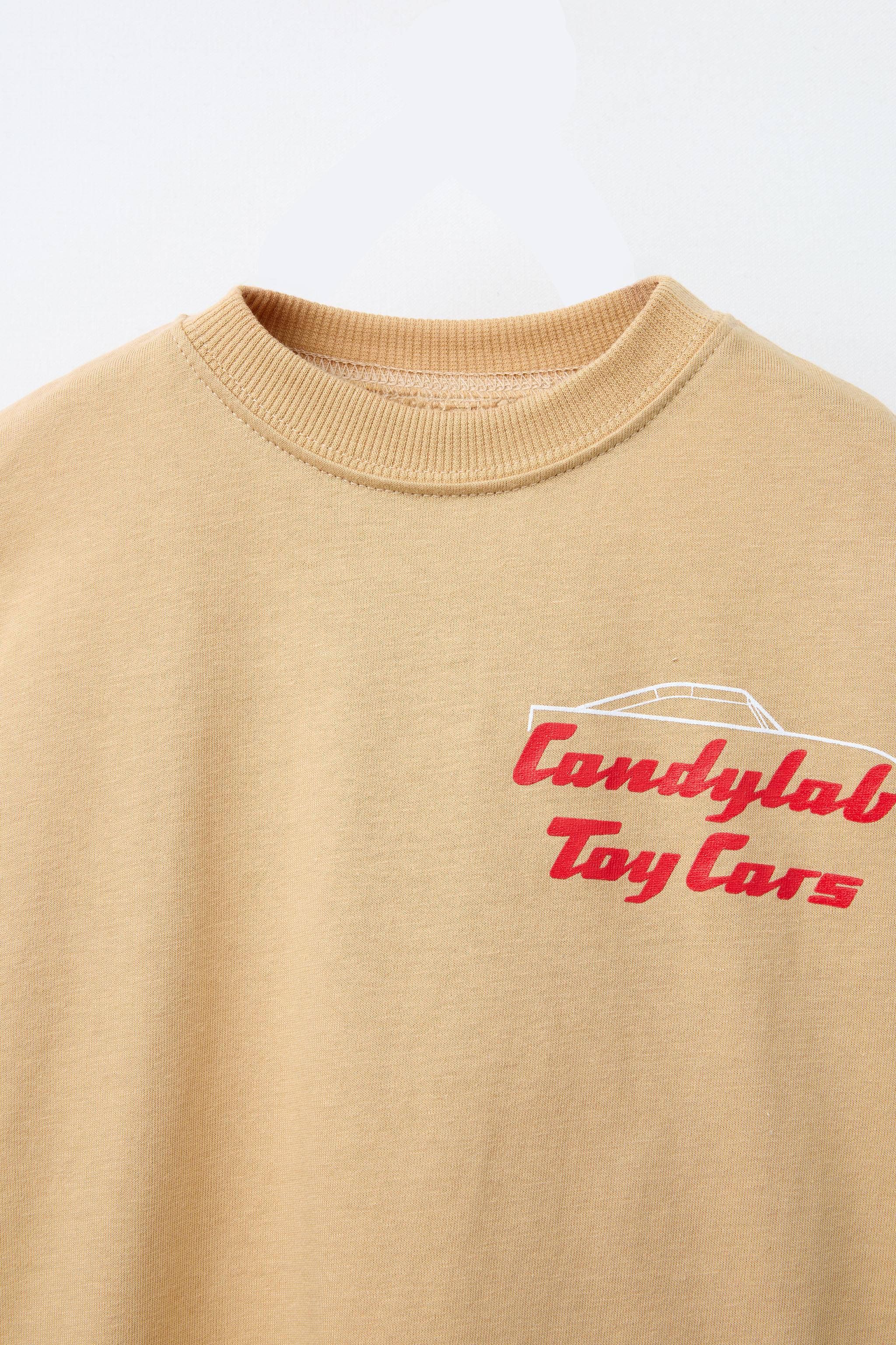 CANDYLAB © PRINTED T-SHIRT - taupe brown | ZARA United States