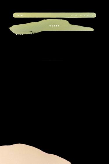 DEEP GARDEN EDP EDP 30ML (1.01 FL. OZ). -  de Zara - Imagen 0