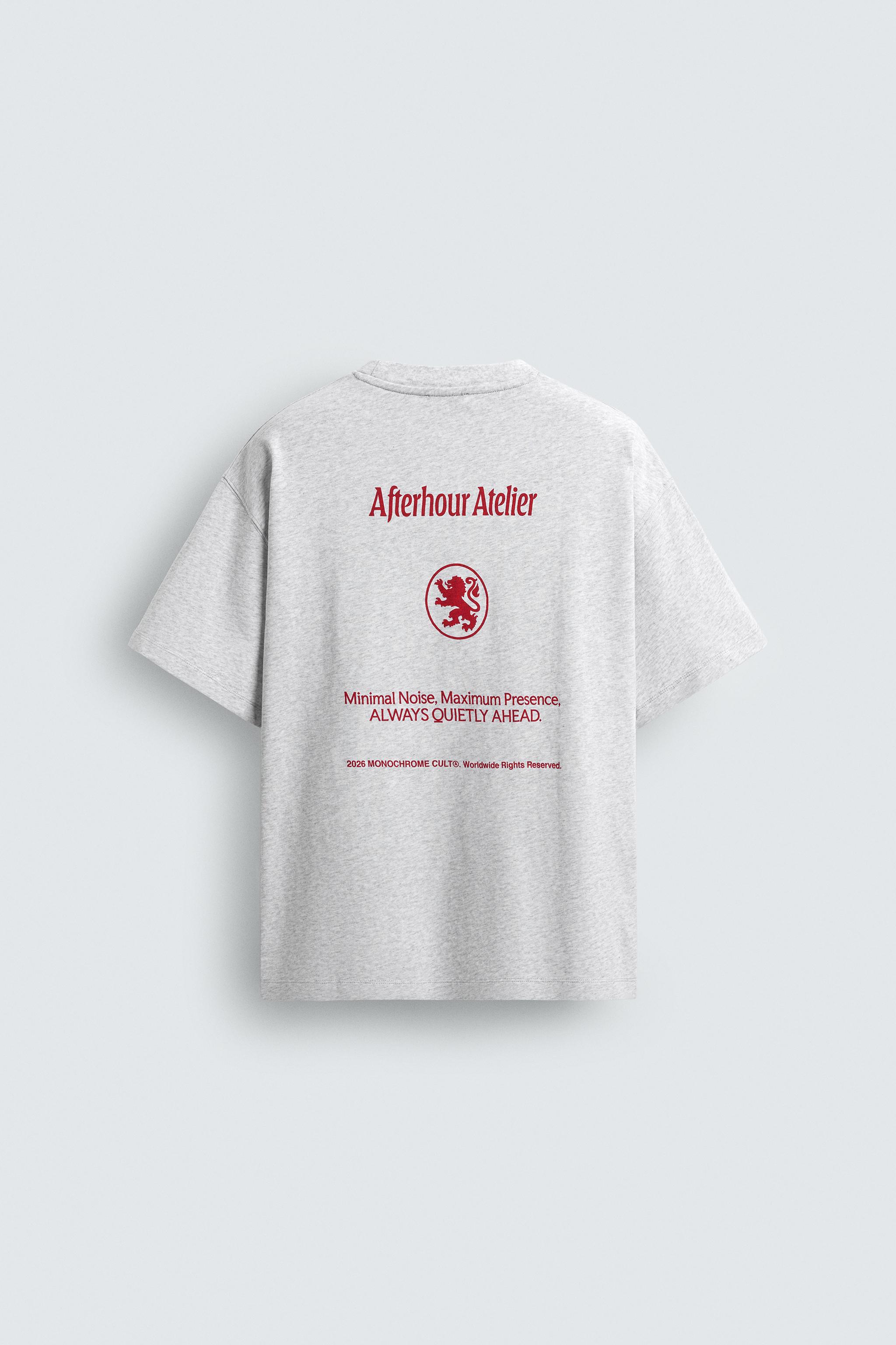 コントラストプリント柄Tシャツ - グレーマール | ZARA Japan / 日本