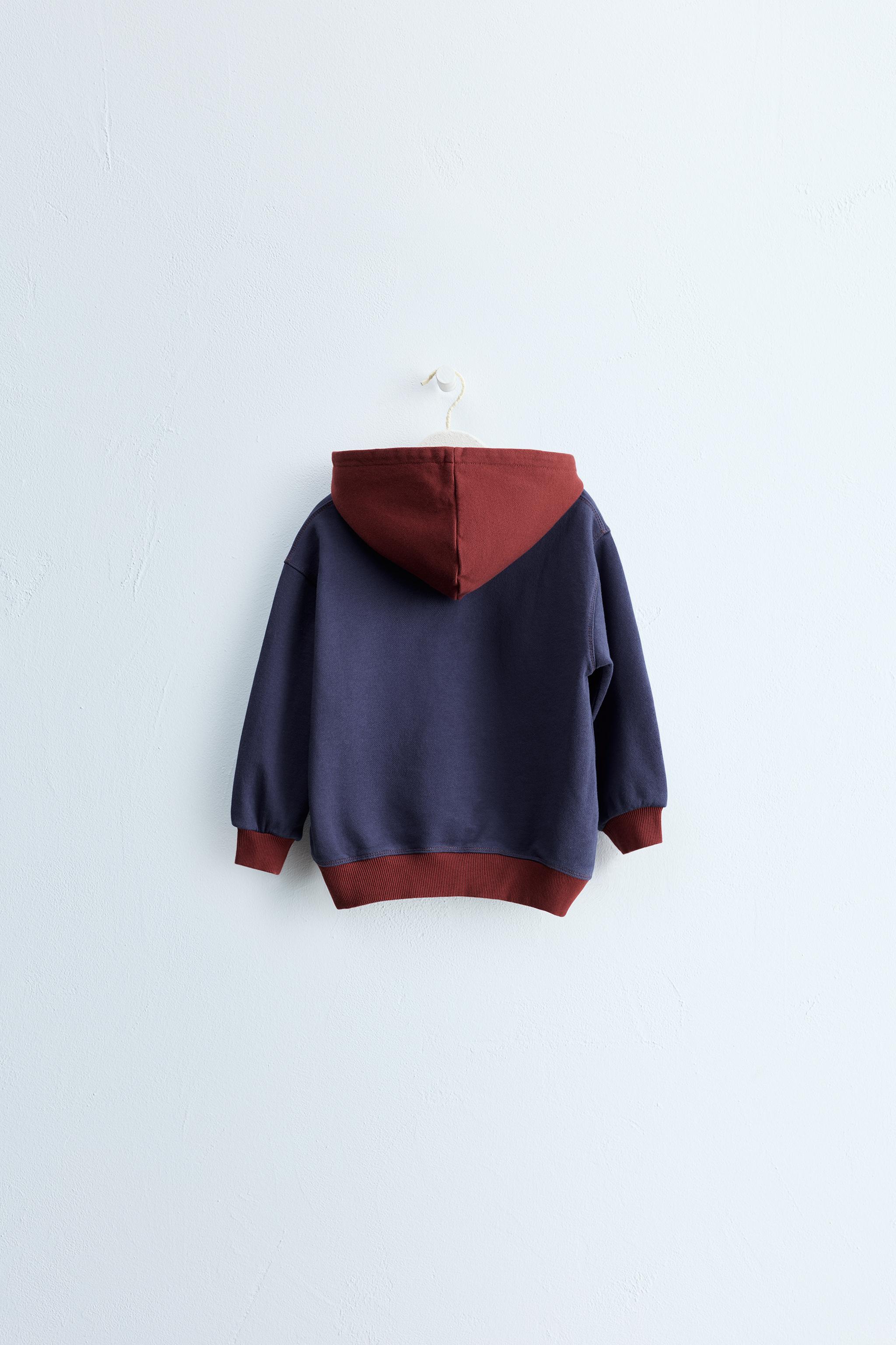 ZARA TIMELESS - SWEAT À CAPUCHE COLORBLOCK