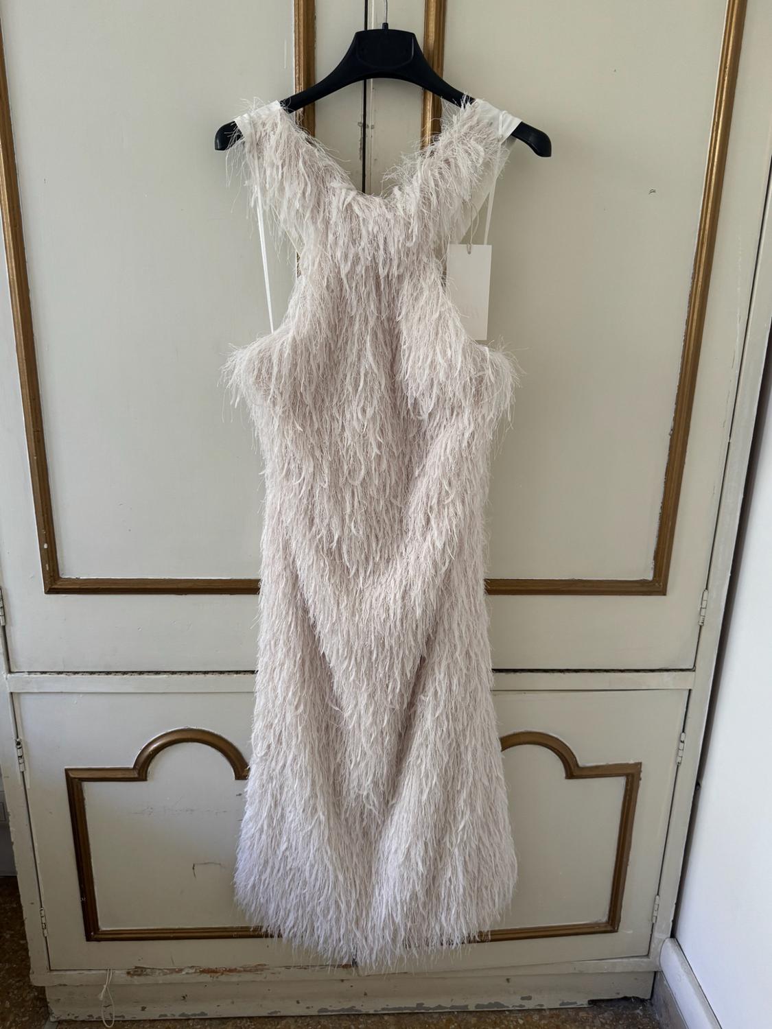 Light-coloured feather dress hanging on a black hanger in front of a white wardrobe with gold mouldings.