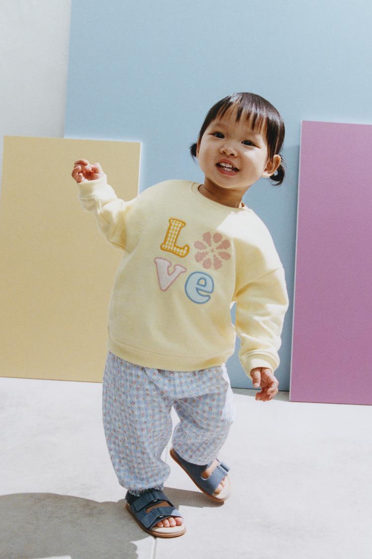 Sudadera bordada 2