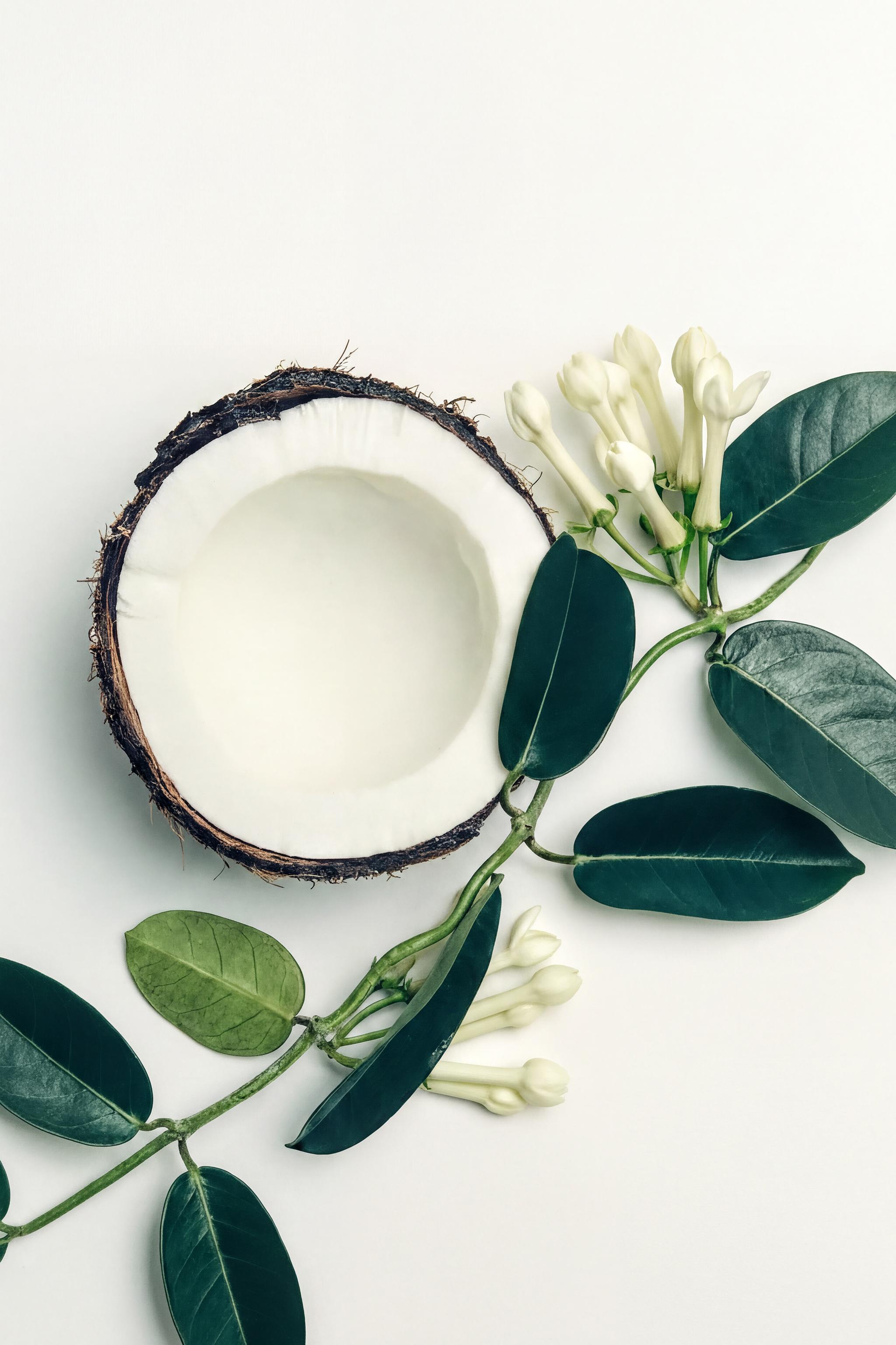 COCONUT JASMINE SUGAR EDP 50 ML (1.7 FL. OZ).