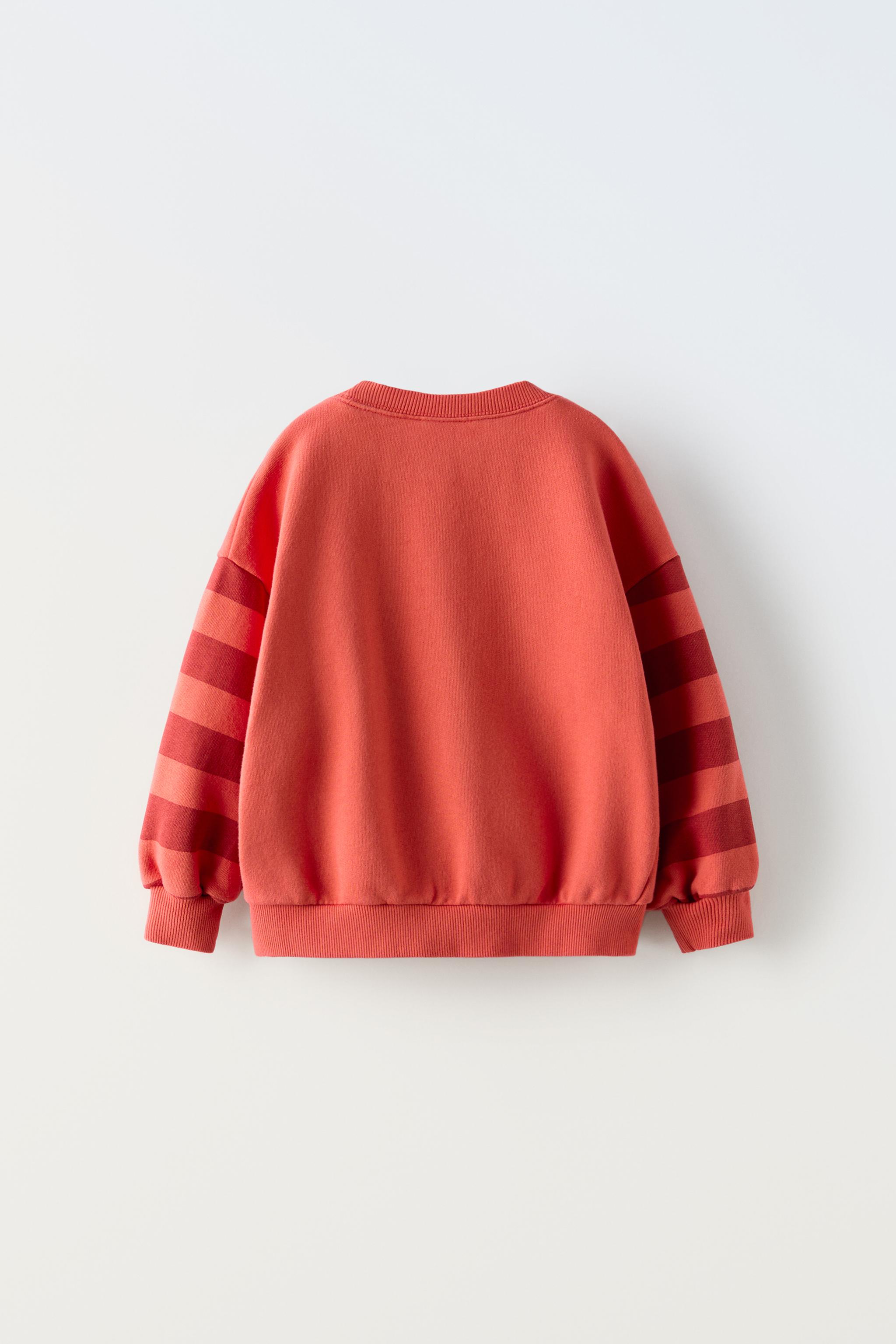 Sweatshirt striped sleeves on sale