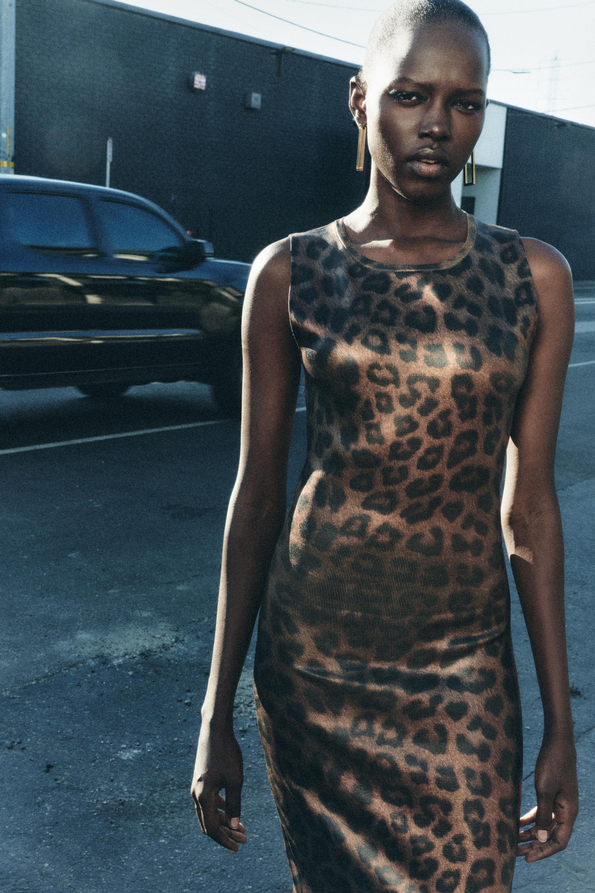 Cheetah print dress zara hotsell