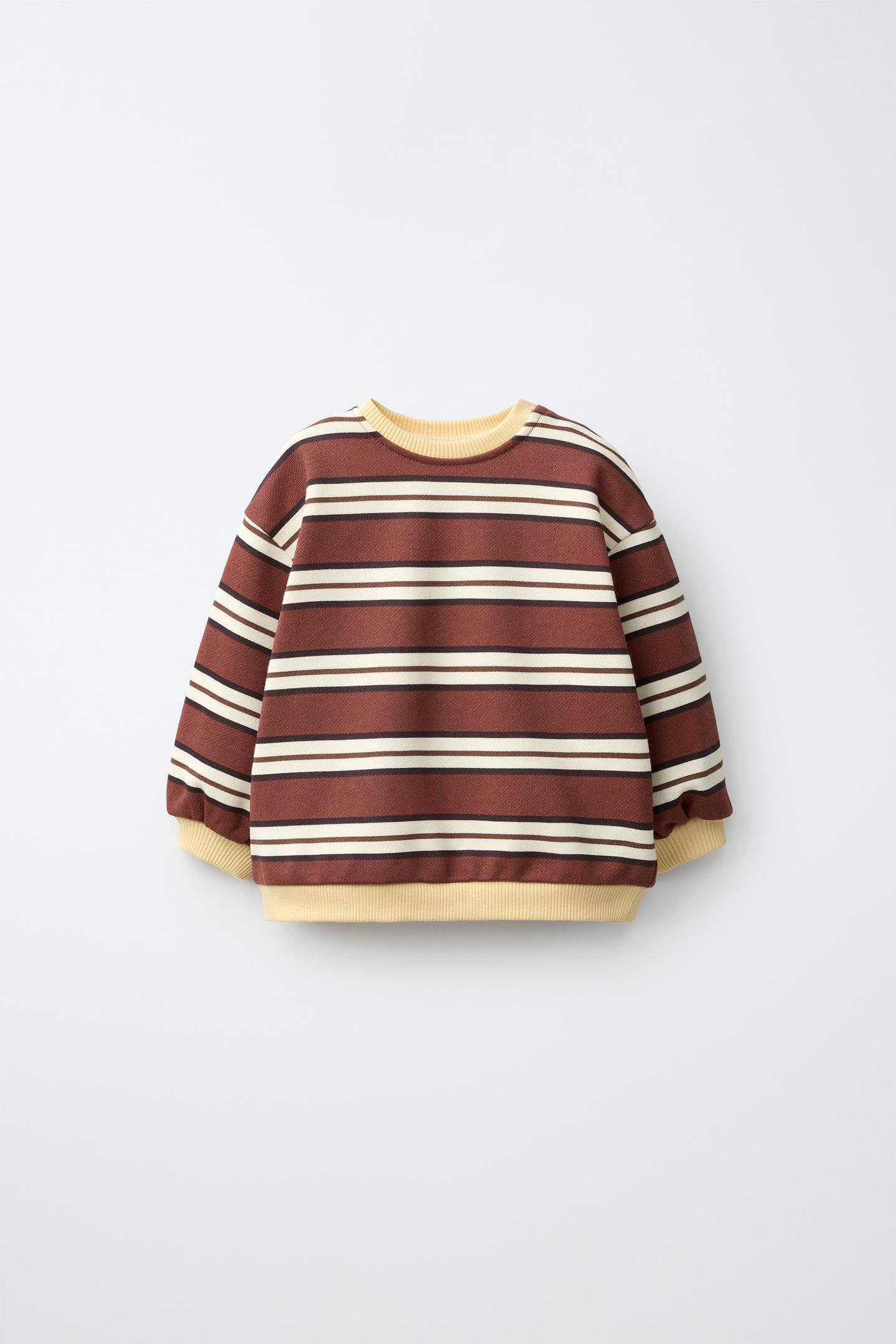 Детская толстовка Zara Stripe Print, цвет: Коричневый
