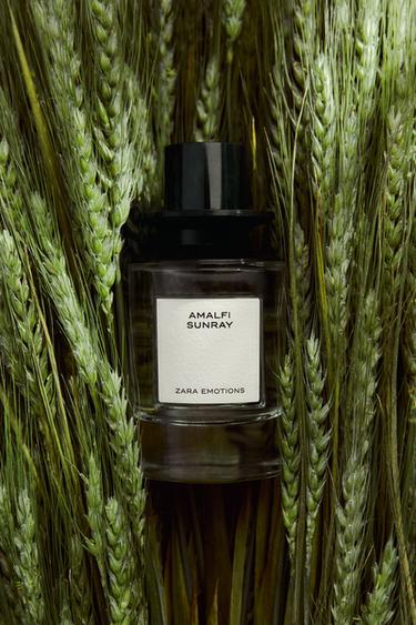 ماء عطري AMALFI SUNRAY سعة 100 مل -  الخاص بـ Zara - صورة 0