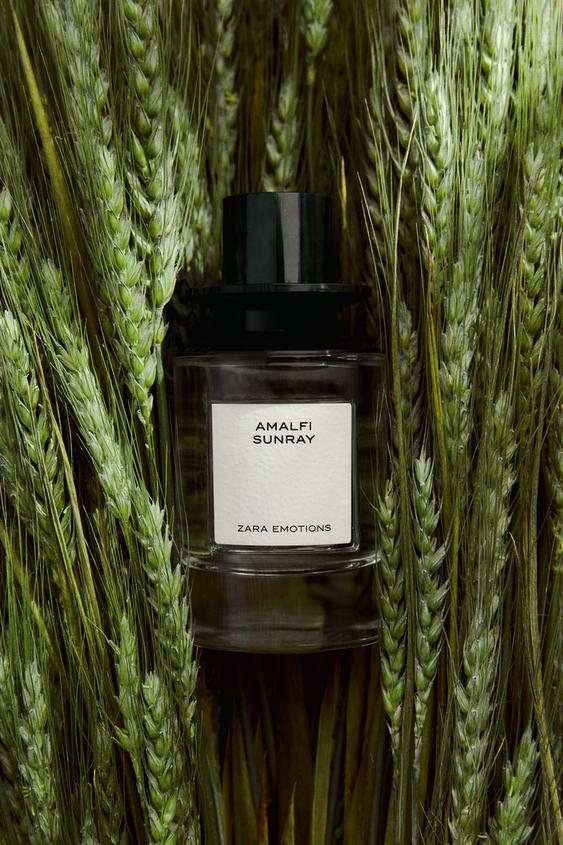 AMALFI SUNRAY EDP 100 ML / 3.4 FL. OZ. -  by Zara - Image 0