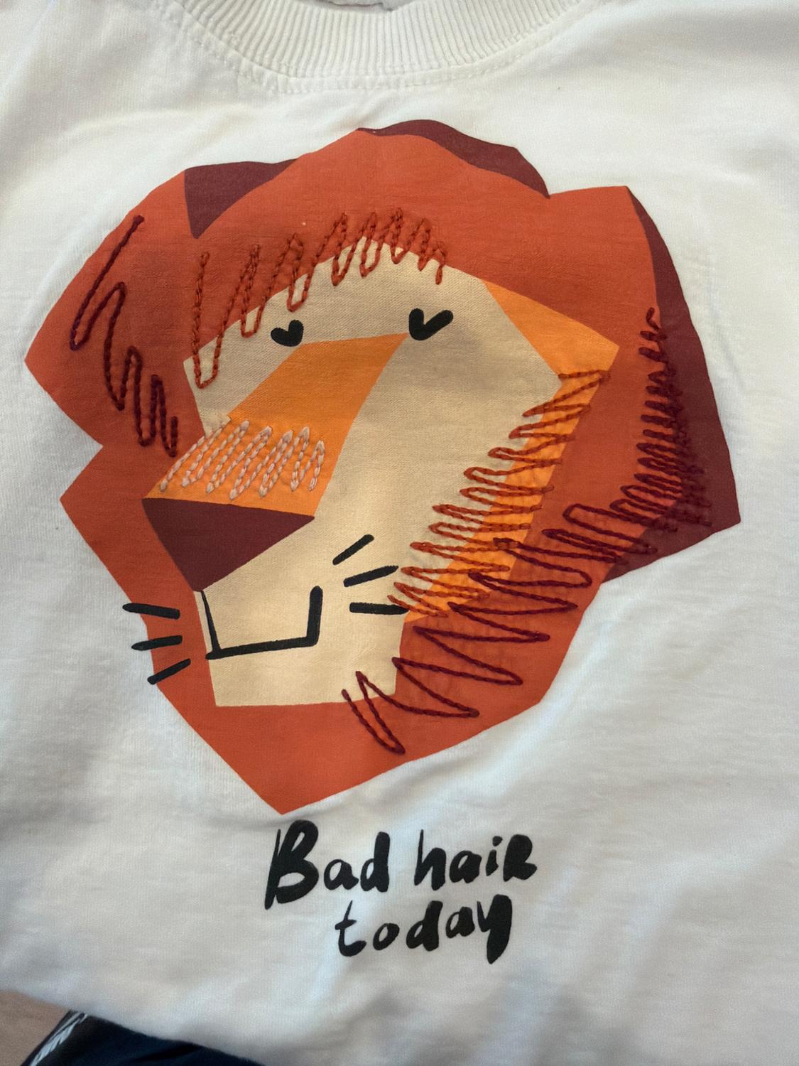 CAMISETA ESTAMPADO Y BORDADO ANIMAL - Image 3