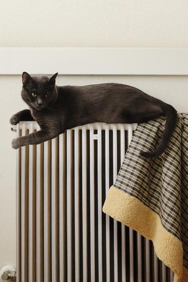 GINGHAM PET BLANKET – Kék a ZARA-tól