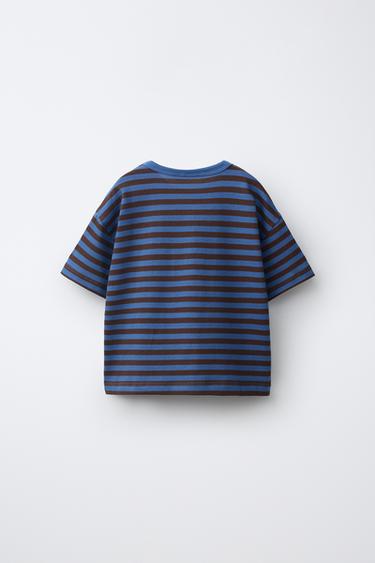 HEAVYWEIGHT STRIPED T-SHIRT — Brown-Blue 2
