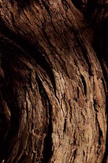 RED ZARA TEMPTATION & SANDALWOOD EXTRAIT DE PARFUM 50 ML / 1.7 oz -  by Zara - Image 2