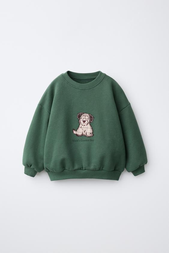 SUDADERA PARCHE PERRO - Verde de Zara - Imagen 0