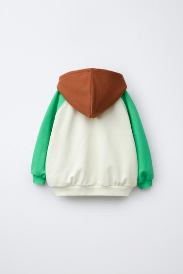 COLOUR BLOCK HOODIE WITH EMBROIDERED FLOWER - Multicoloured by Zara - Image 1