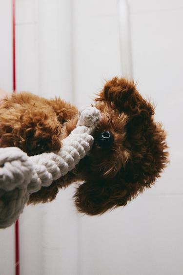 BRINQUEDO DE OSSO TRANÇADO PARA ANIMAIS DE ESTIMAÇÃO - Cru da Zara