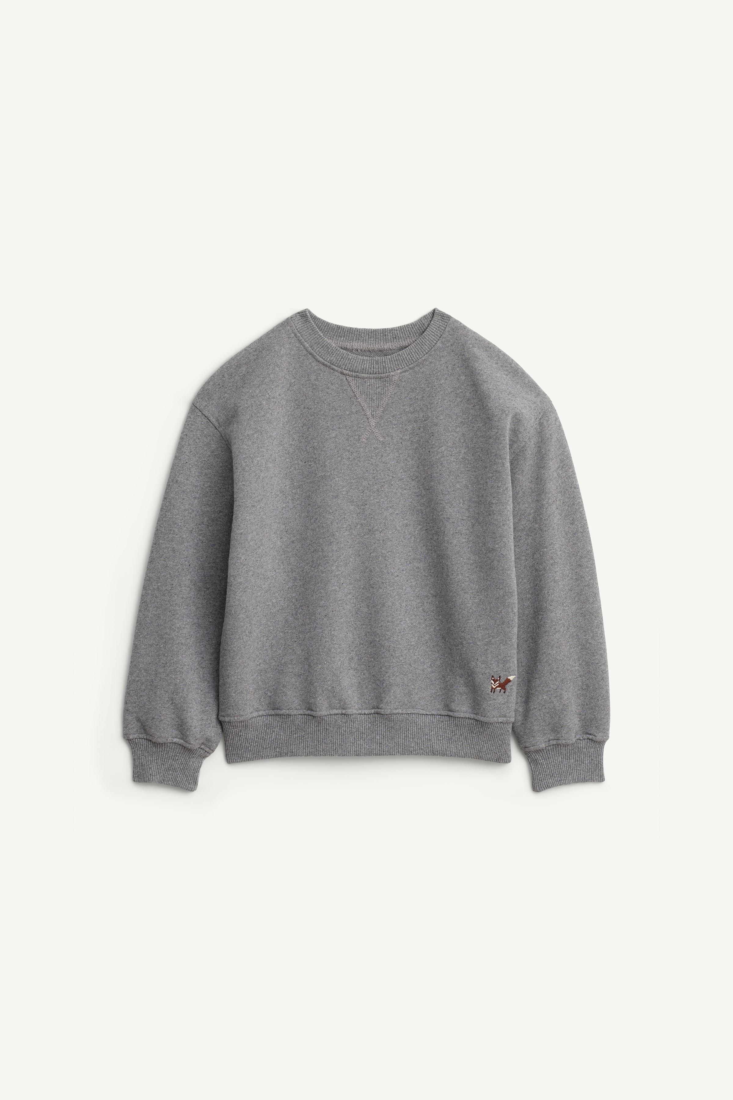 森 MOUNTAIN PRINT SWEATSHIRT - Light beige | ZARA Canada