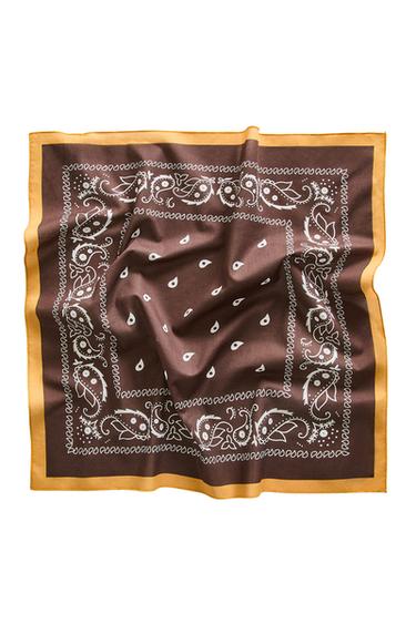 Zara PAISLEY COTTON PET BANDANA - 棕色