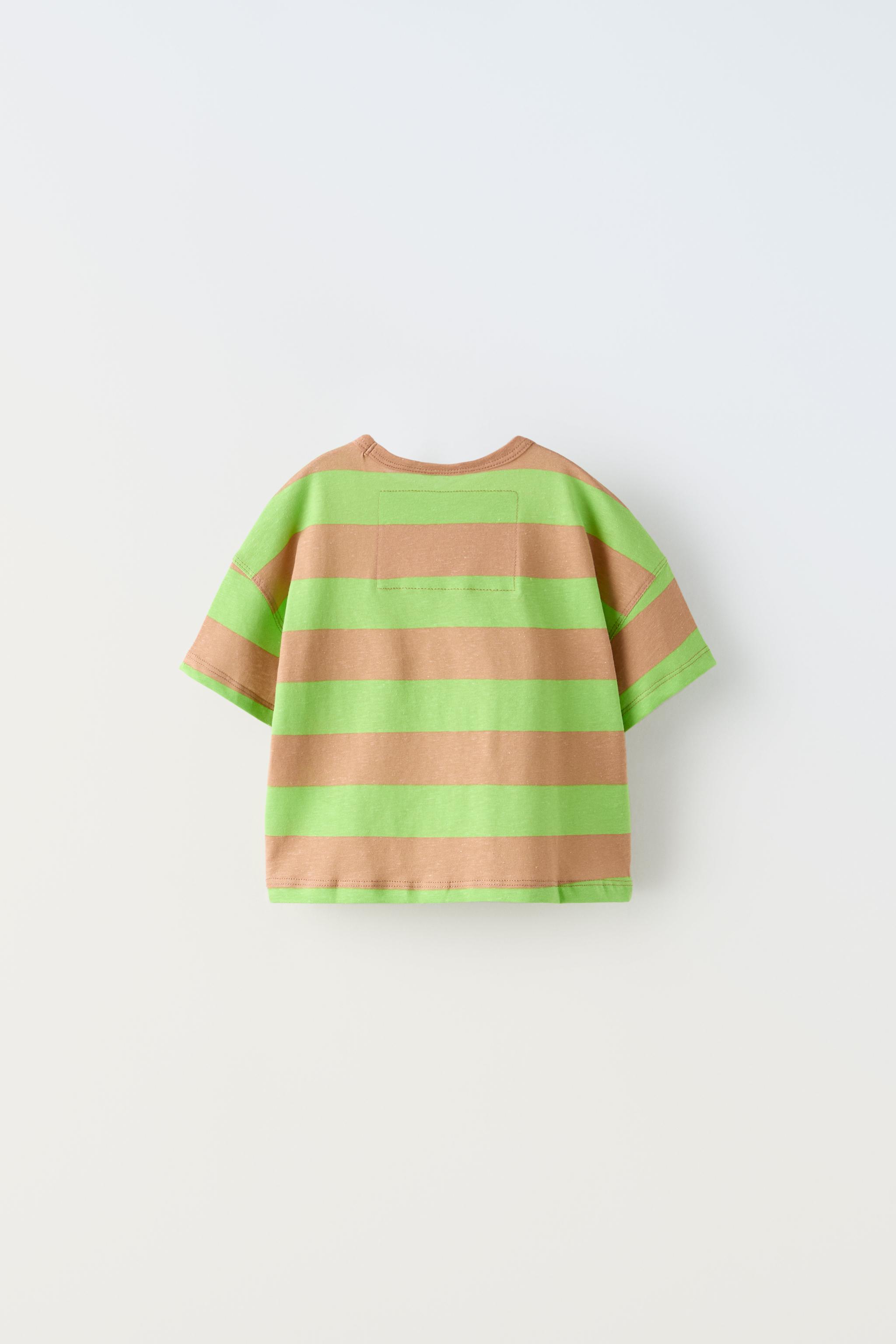 ストライプエンブロイダリー Ｔシャツ - グリーン | ZARA Japan / 日本