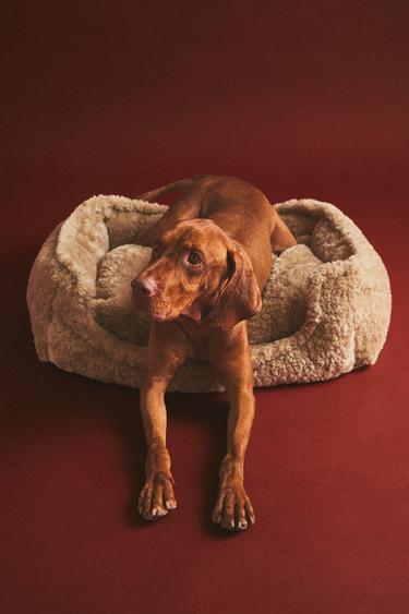 FAUX SHEARLING PET BED - Beige by Zara