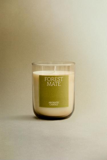 (250 G) FOREST MATE SCENTED CANDLE - Light green by Zara - Image 5
