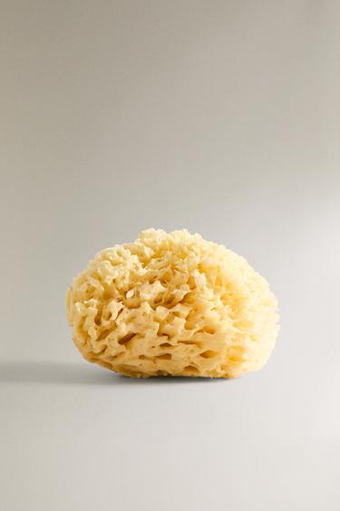 ÉPONGE SALLE DE BAIN - Beige clair de Zara - Image 0