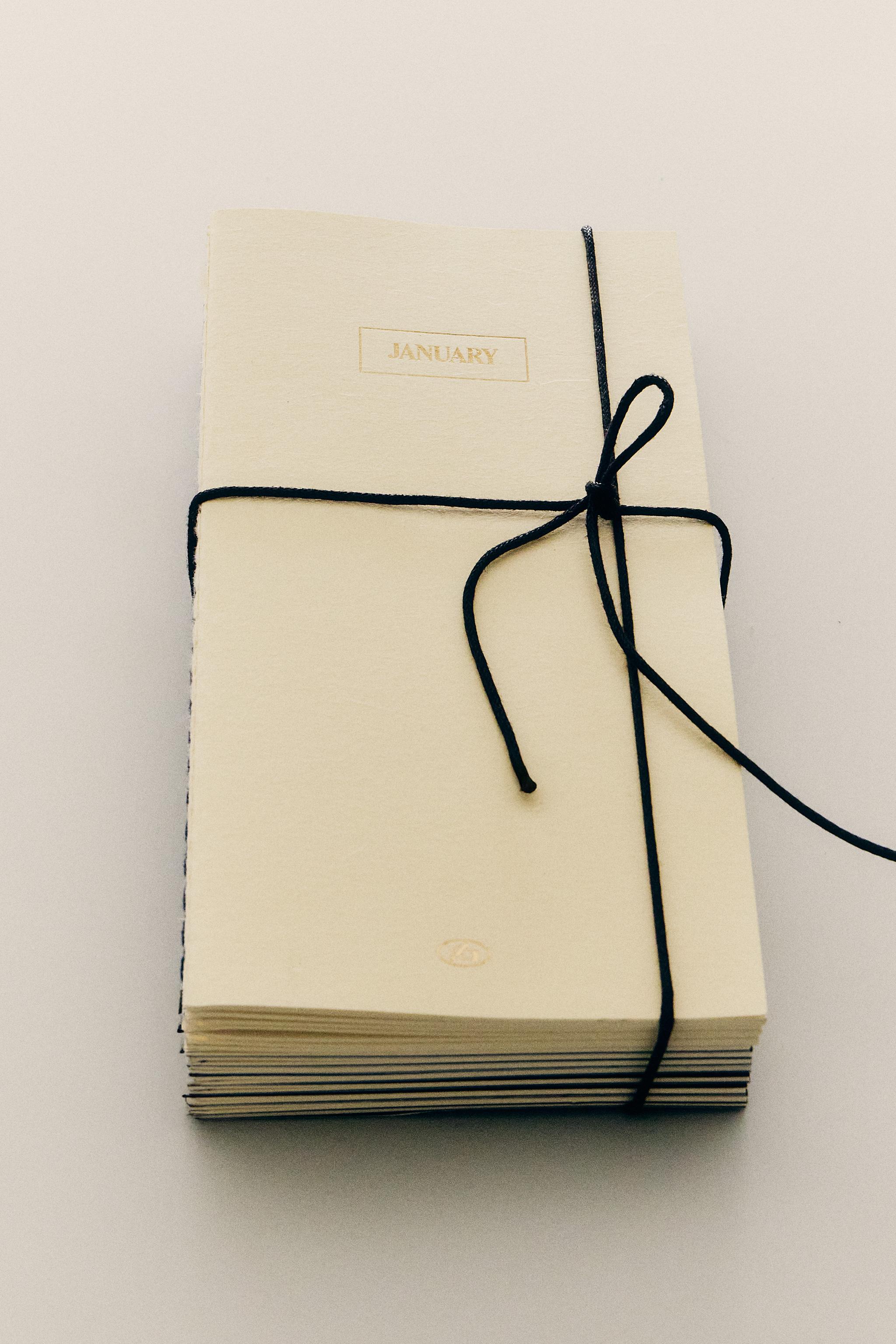 MONTHLY PLANNER PACK (PACK OF 12) — Multicolored