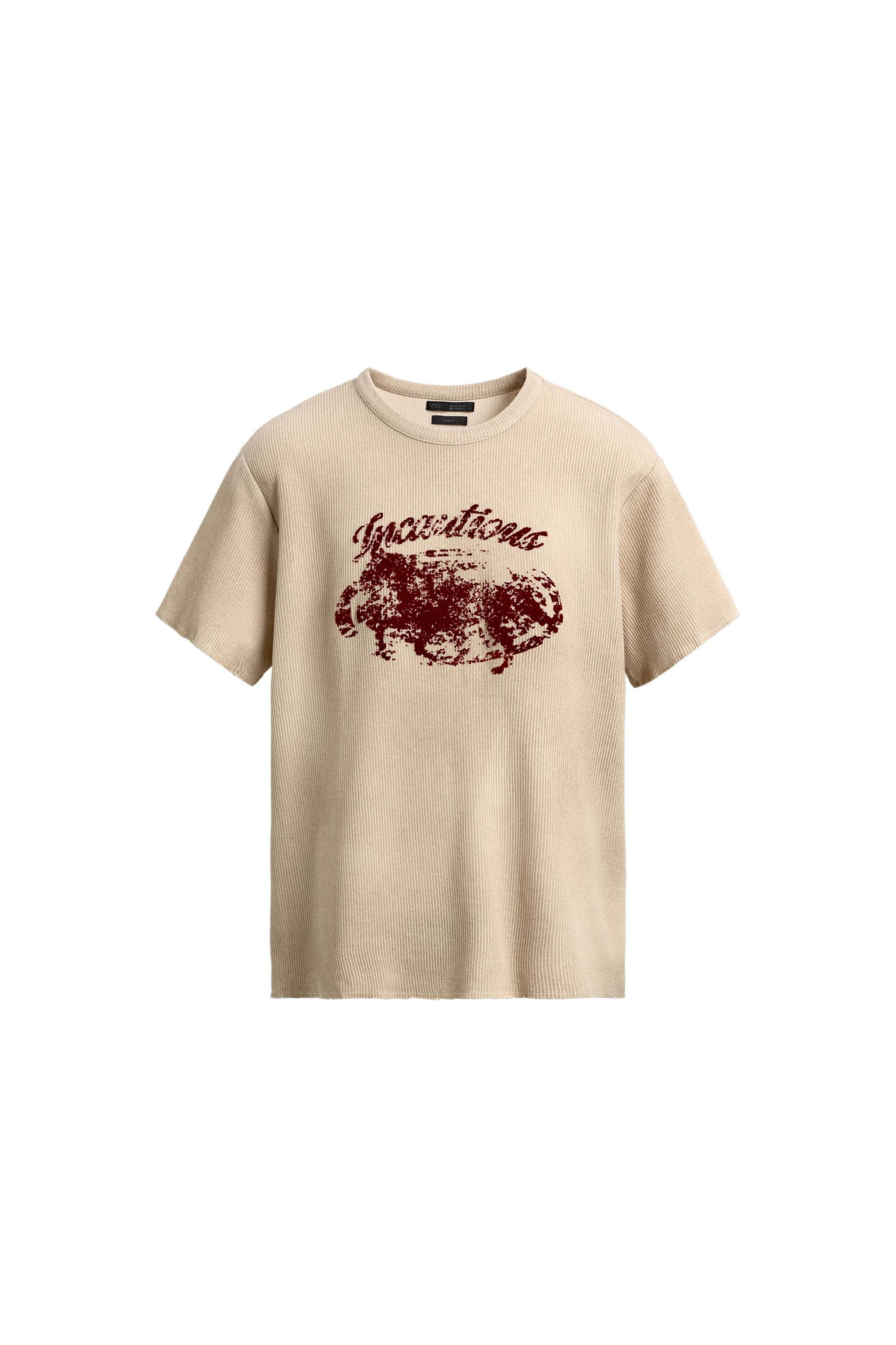 テクスチャーニットTシャツ - エクリュ | ZARA Japan / 日本