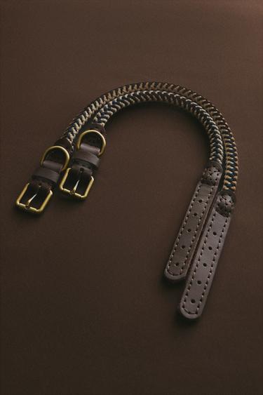 طوق بحبل ملون للكلاب - أزرق الخاص بـ Zara