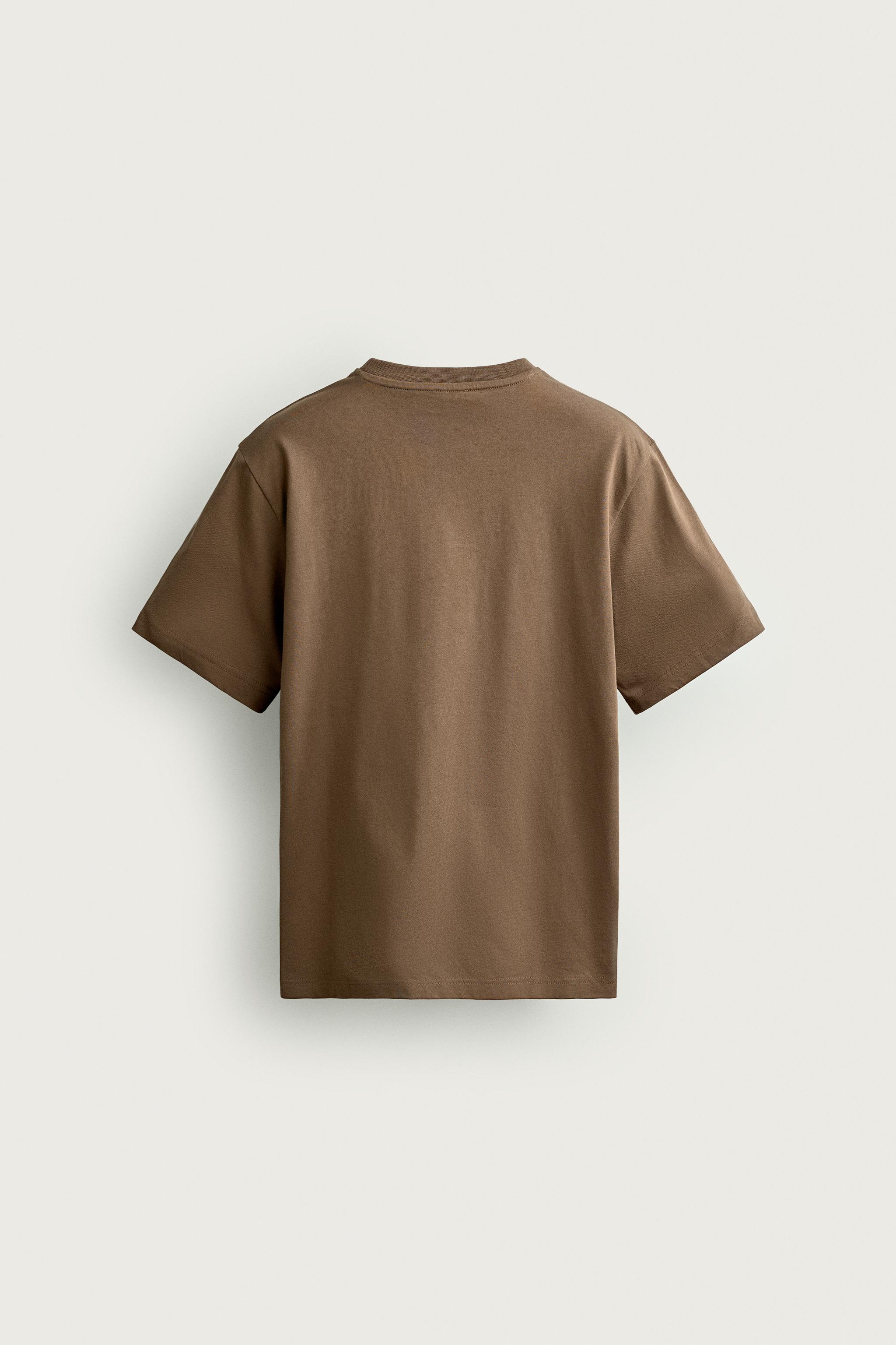 Мужские футболки Zara REGULAR FIT EMBROIDERED TEXT T-SHIRT — фото 8