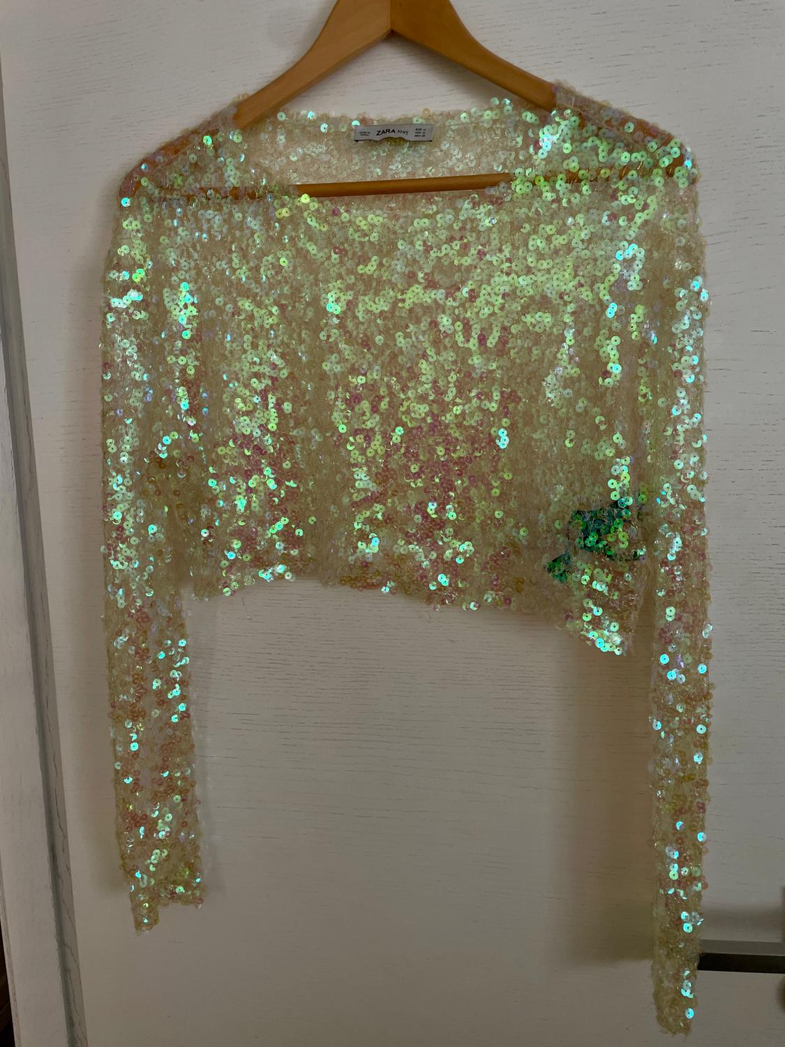 Iridescent sequin crop top hanging on a wooden hanger against a white background. Visible label: "ZARA".