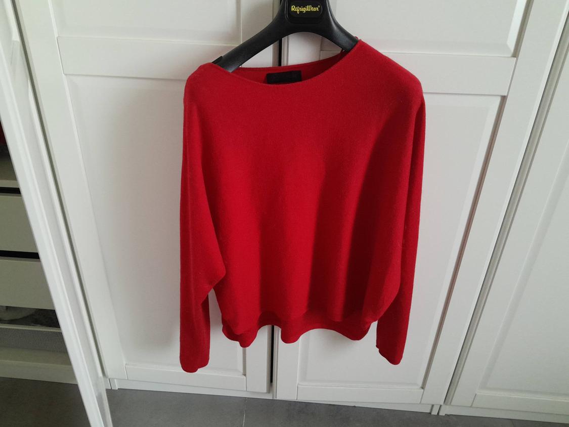 Red jumper hanging on a black hanger inside a white wardrobe.