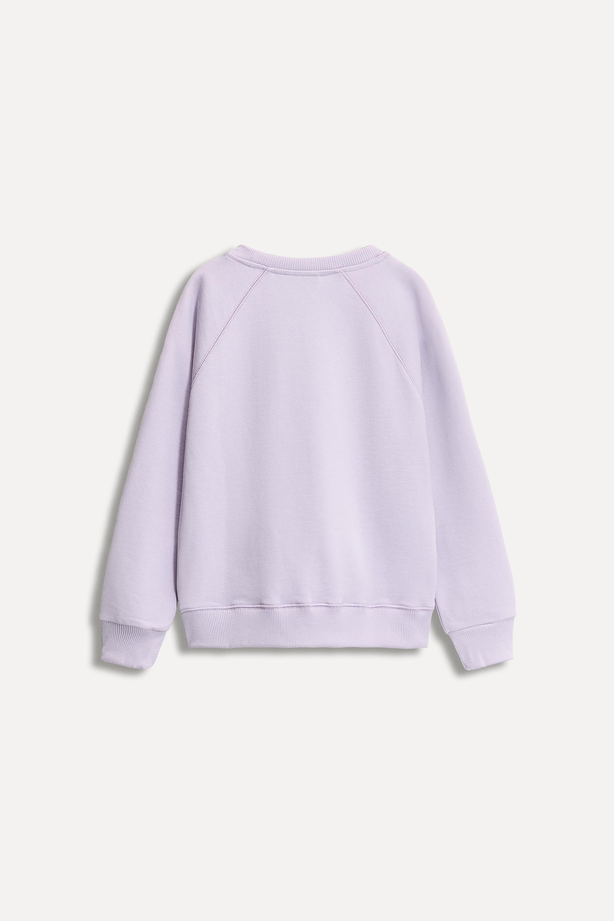 Pink Zara Champion Sweater Pastel Zara Knitwear Zara Champion