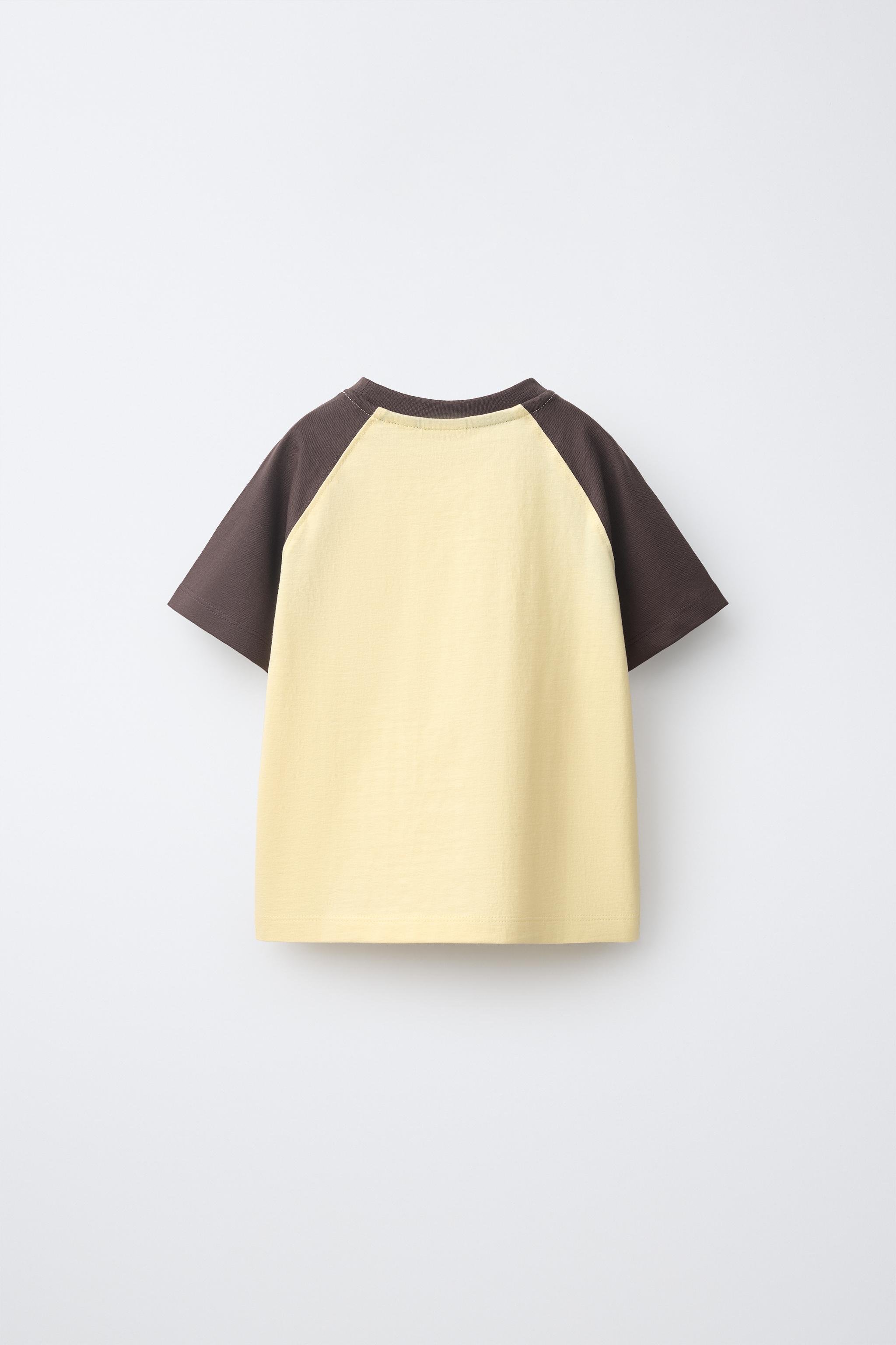 EMBROIDERED RAGLAN T-SHIRT — Brown