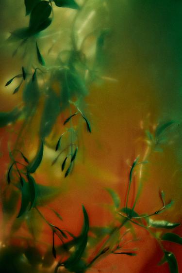 ELEGANTLY TOKYO ELIXIR PARFUM 100ML / 3.38 oz -  by Zara - Image 2