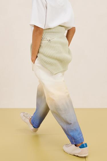 DP DY PNT 16 - Imprimée de Zara - Image 3